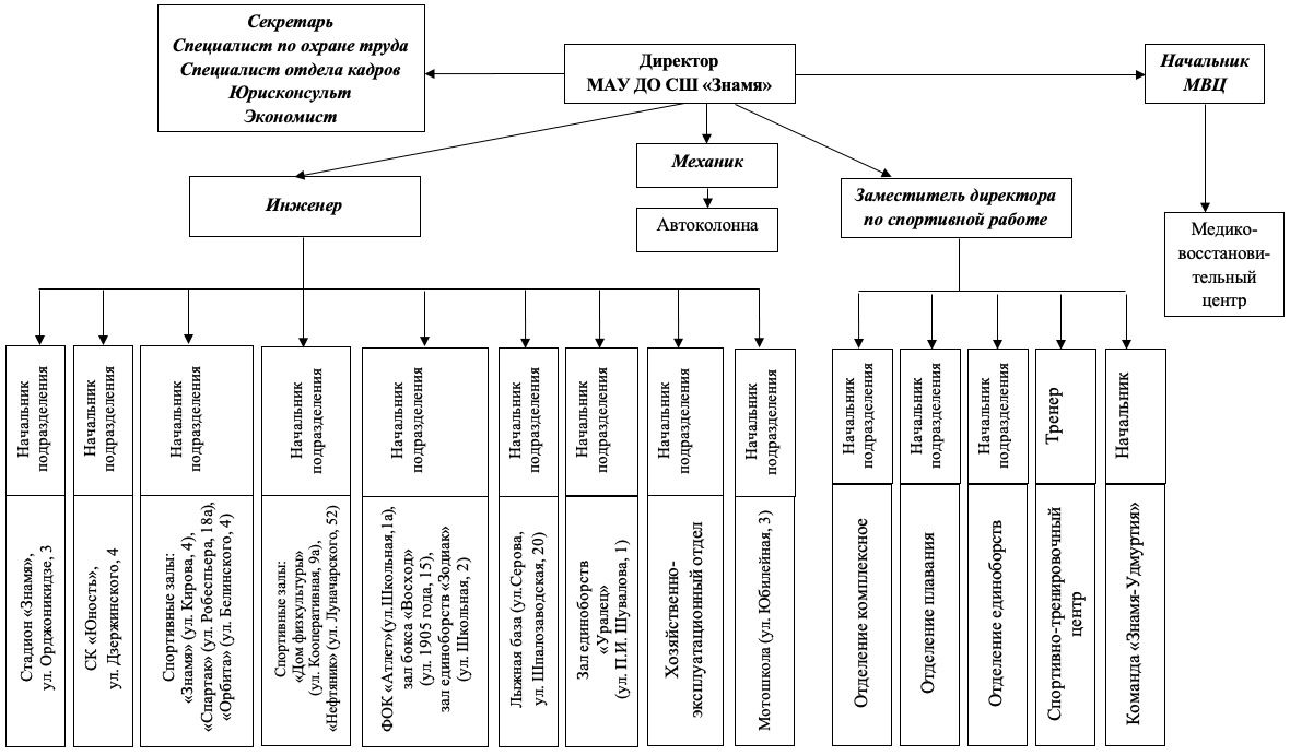 Структура МАУ СШ "Знамя"